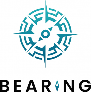 Bearing Technology LLC
