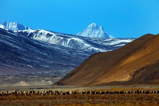 Travelers Like to See the Combination of Culture and Scenery in Tibet, Great Tibet Tour Finds