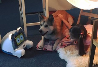 The Versatile Interactive Robot for Your Pet