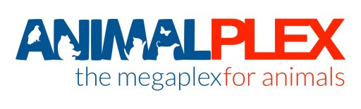 Animalplex.com Puts Your Beloved Pet on the Plane