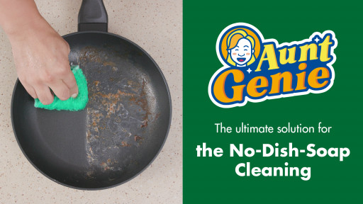 Aunt Genie Launches on Kickstarter, Cleaning the World With Its No-Soap Magic