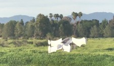 Spidey Bat VTOL Drone