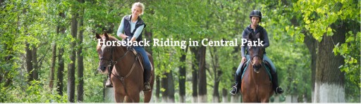 Central Park Sightseeing Begins Offering Horseback Riding in Central Park