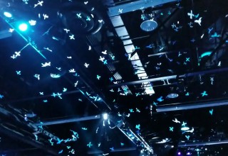 Custom Cut Confetti Logos Flutter Down on Fan Event Celebrating a New Brand