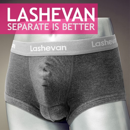Lashevan, the World's First 3D Patented Underwear That Guarantees to Keep the Body Cool Launches on Indiegogo