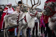 Santa's reindeer brought joy to the children