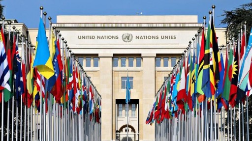 UN Human Rights Council Condemns Forced Psychiatric Practices