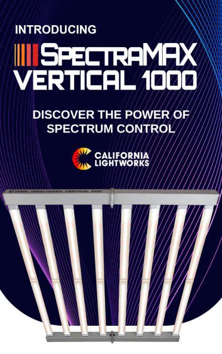 SpectraMax Vertical 1000