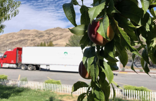 MyFruitTruck Sets for 2021 Tour