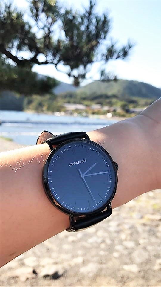 The Amazing Story Behind Charleston Watches Newswire