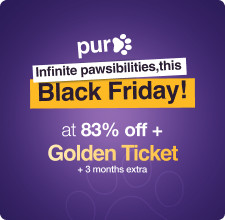 PureVPN’s 83% Off This Holiday Season: Get an Extra Subscription for Free With a Golden Ticket