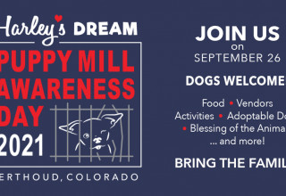 Puppy Mill Awareness Day Banner - Harley's Dream