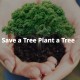 ZorroSign is Planting Trees Around the World