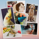 The Gallery Collection Announces 2021 Pet Photo Contest