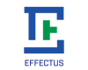 Effectus Enterprises, Inc.