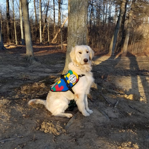 Highly Trained Autism Service Dog to Assist Seven-Year-Old Child in Nokomis, Illinois