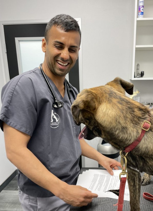 The Melrose Vet Brings Human Touch Back to Pet Care With New Breed of Veterinarian Clinic