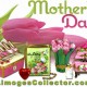 LimogesCollector.com Celebrates Mother's Day With Exquisite Limoges Box Gifts