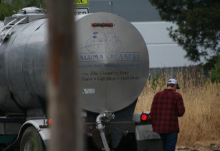 Illegal hauler filling city water into his water tanker from the hydrant at Dutton
