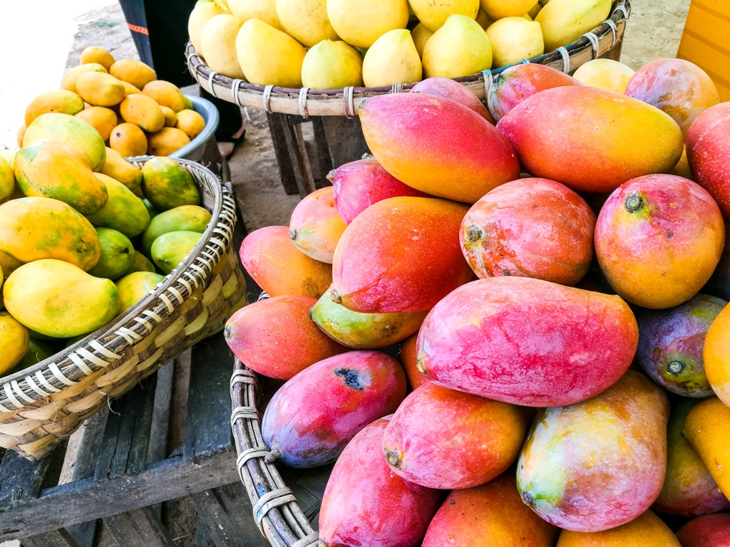 mango season