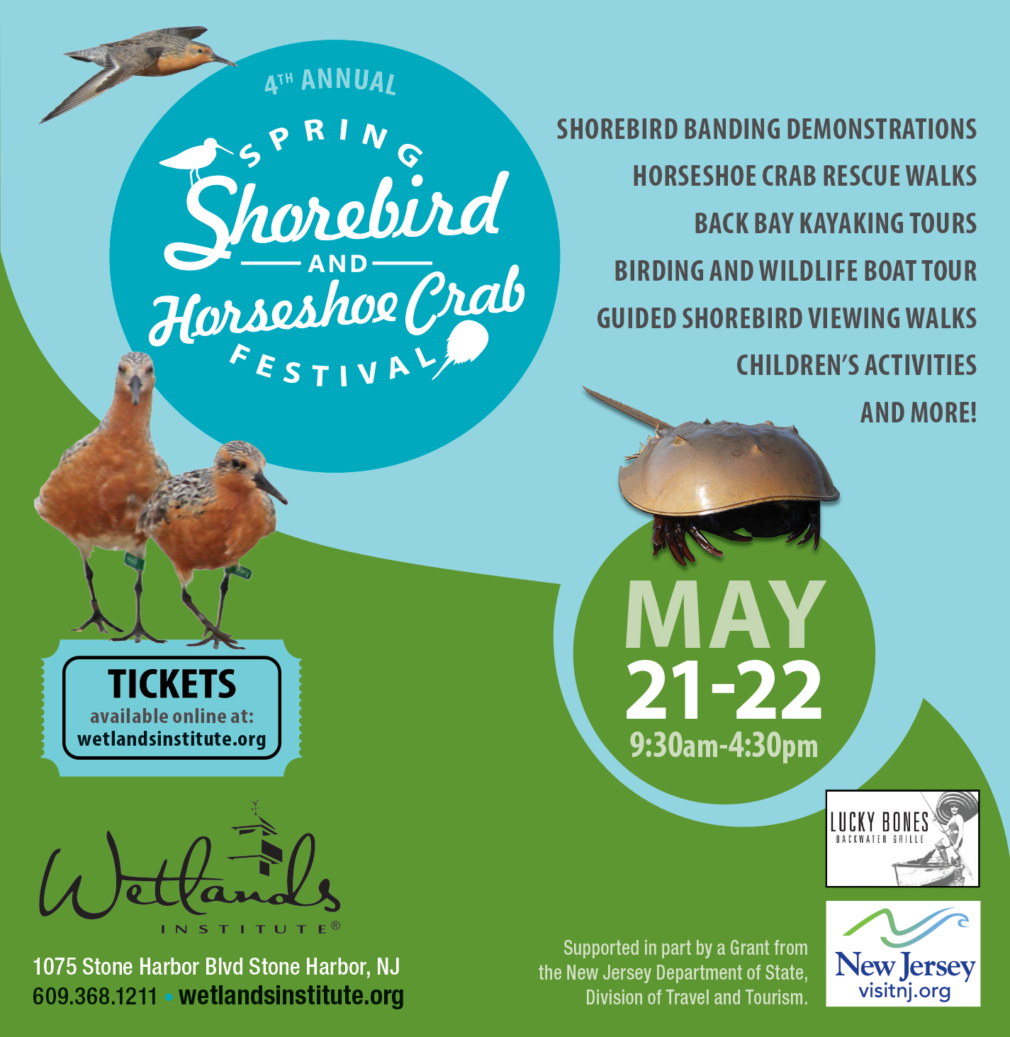 Wetlands Institute Celebrates 4th Annual Spring Shorebird and Horseshoe ...