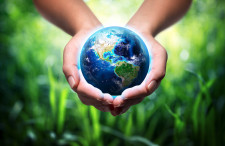 Violet Defense Earth Day