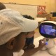 EduPal Robots Stolen From Non-Profit Organization for Children Affected by Autism in Underserved Community