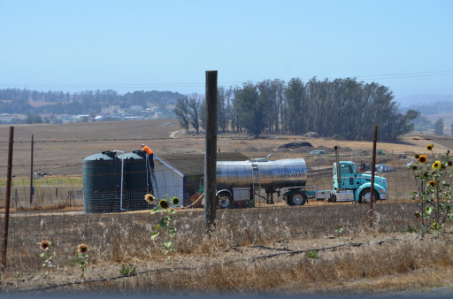 Illegal hauler filling cannabis cultivator's tanks on Purvine Rd with city water from SR