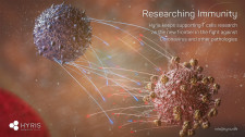 Hyris keeps supporting T cells Research
