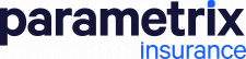 Parametrix Logo