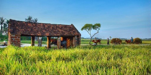 ExploreOneVietnam Explains Why Tourists Are Enjoying Their Visits to Vietnam