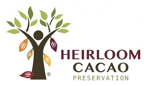 Heirloom Cacao Preservation Fund Celebrates Its 17th Designee for Prized Cacao