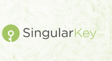 Singular Key Logo