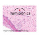 illumiSonics Inc. Expands Its Executive Management With the Appointment of Jochen Schweizer as Chief Operating Officer