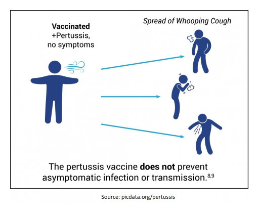 Physicians for Informed Consent Releases New Documents on Risks of Whooping Cough and the Pertussis Vaccine (DTaP and Tdap)