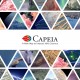 Launch of the Science Platform Capeia
