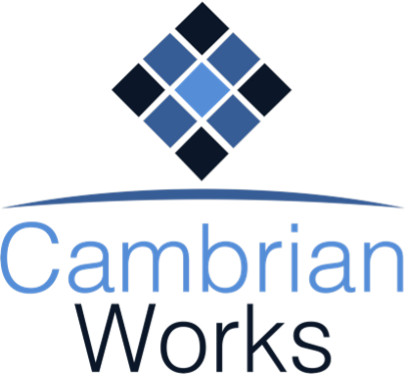 Cambrian Works Awarded SpaceWERX Orbital Prime Contract for Space Operator Robotic Terminal Interface & Environment (SORTIE)