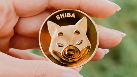 shiba inu to be accepted on giftchill