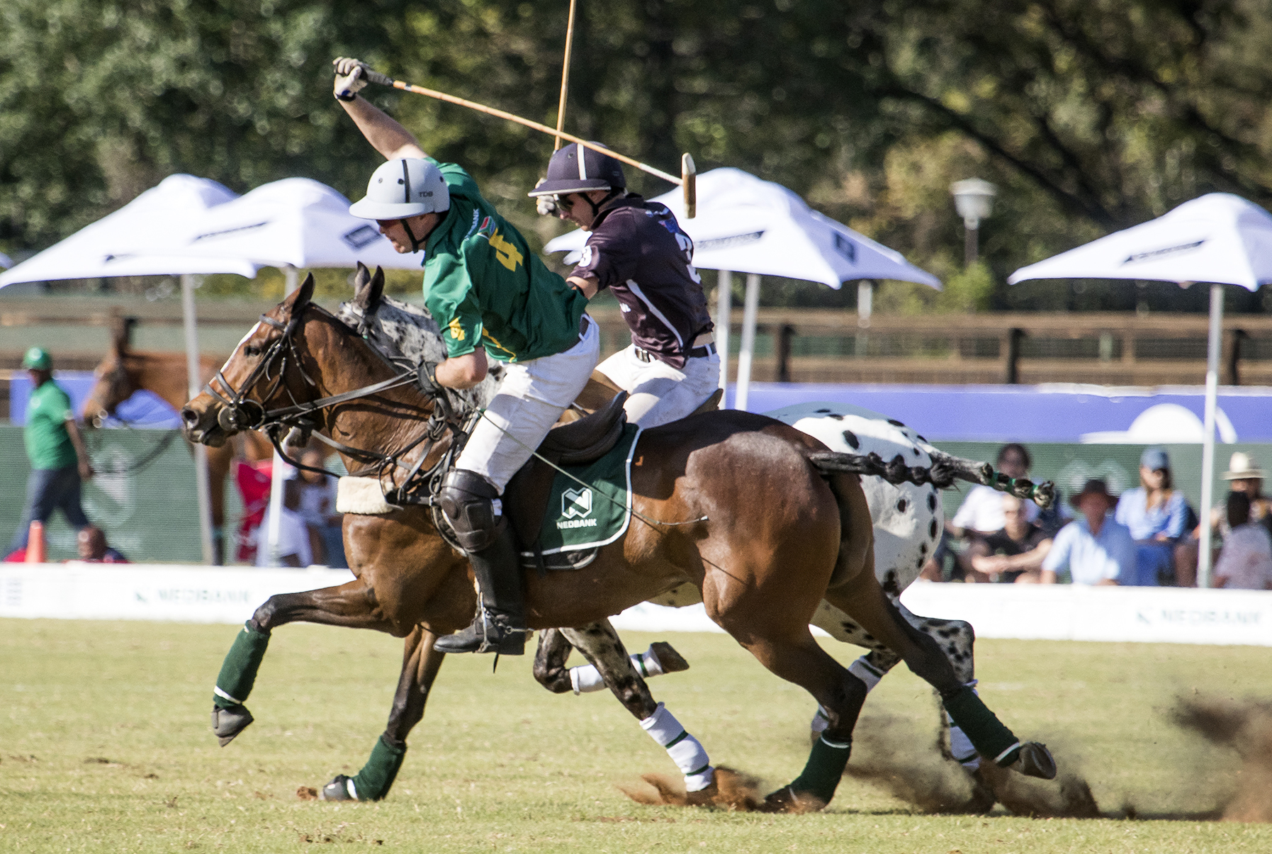 . Polo Assn. Announces Partnership with South African Polo Association |  Newswire