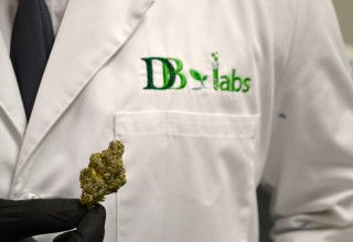 DB Labs in Las Vegas, Nevada
