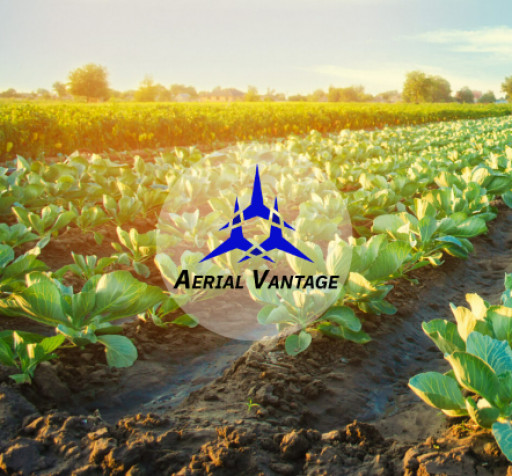 Aerial Vantage Receives FAA BVLOS Waiver for Drone-Based Precision Agriculture Analytics
