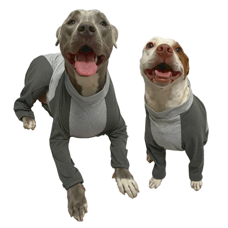 New and Advanced Large Dog Recovery Suit Launched by Big Dog's