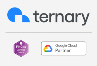 Ternary is a FinOps Certified Platform and GCP Partner