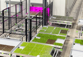 80 Acres Farms Fully-Automated Vertical Farm