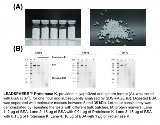 LEADSPHERE Lyophilization Technology