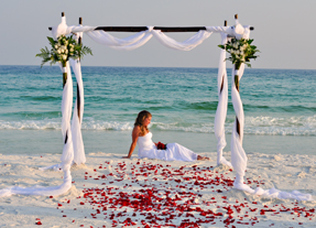 Myrtle Beach Wedding North Myrtle Beach Weddings Newswire