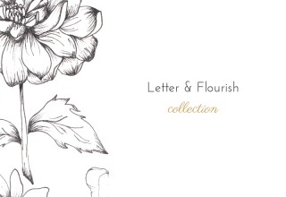 The Letter & Flourish Bible Journaling Collection