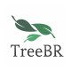 TreeBR Carbon Offsets Inc. Announces Its Intent to Directly Support Amazon Rainforest Preservation Through a Share Offering With Underlying Carbon Credits