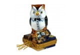 Mr. Owl in Formal Attire Exclusive Limoges box