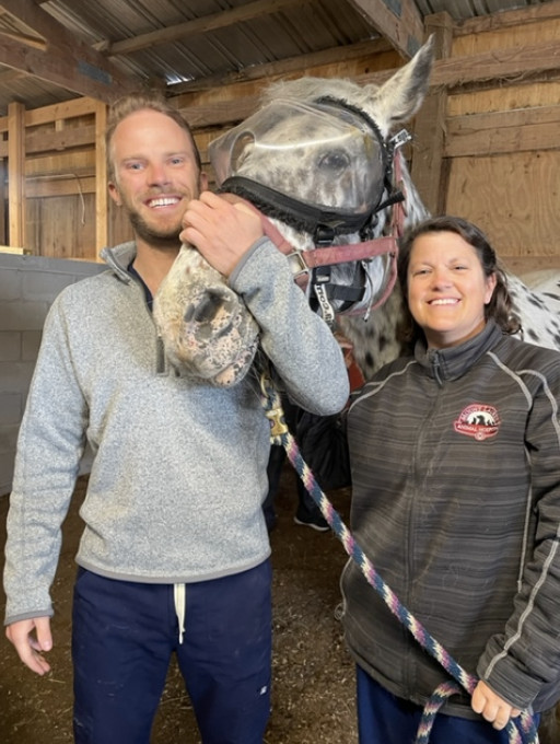 Mount Laurel Animal Hospital Performs Procedure on Horse